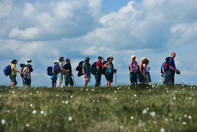 1/2 Day Pilgrim's Walk on St Patrick's Way and Lunch - Why this short pilgrimage works so well