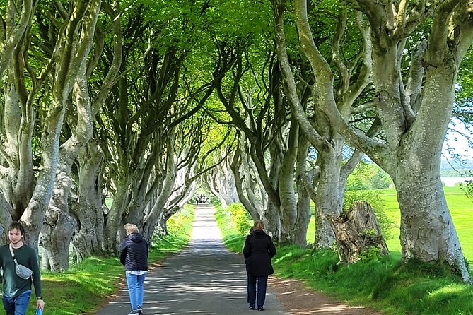 4 Hours Private Belfast City Tours - Titanic Belfast: one hour, with an extra fee