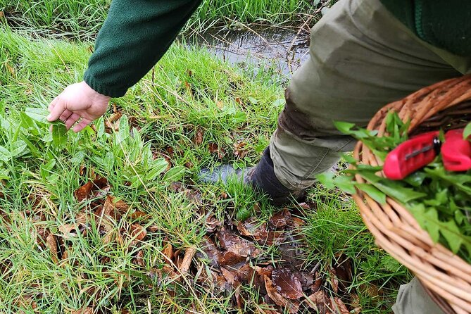 Adult Foraging Walk & Bushcraft Cookery Course for Beginners - What makes David’s teaching effective