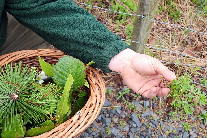 Adult Foraging Walk & Bushcraft Cookery Course for Beginners - Who will enjoy this course most?