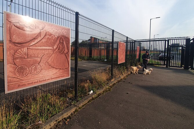 Belfast Cab Tour of Peacewalls, Murals and the Famous Titanic Slips - Belfast Castle and Cave Hill views
