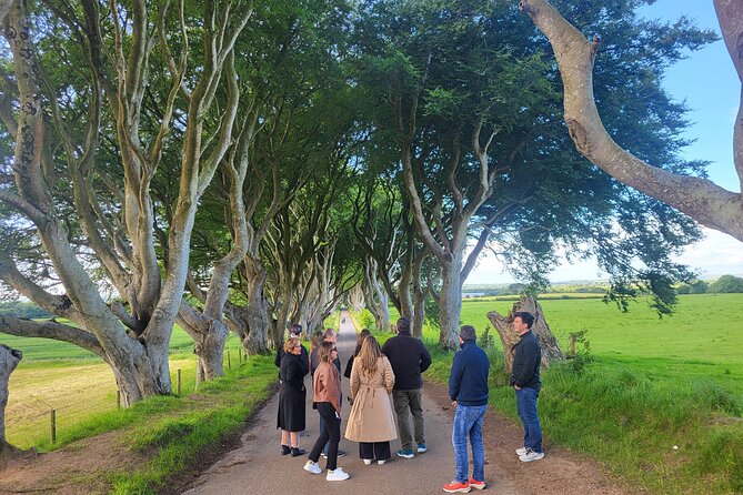 Belfast & Giants Causeway Luxury Mercedes Private Tour for 6 pax - Belfast murals and the Peace Wall complete the day