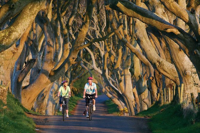 From Belfast-Giants Causeway, Dunluce Castle and Dark Hedges tour - Price, group size, and the real value