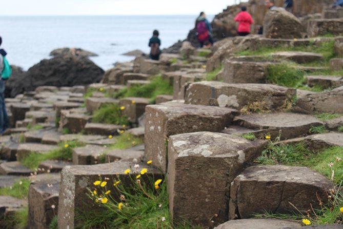 Game of Thrones and Giant's Causeway Day Tour from Belfast - Dunluce Castle and House Greyjoy