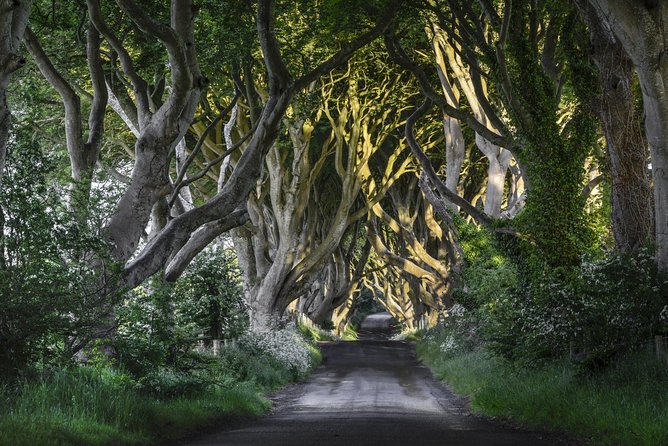 Game of Thrones and Giant's Causeway Full-Day Tour from Belfast - What this Belfast day trip is really like