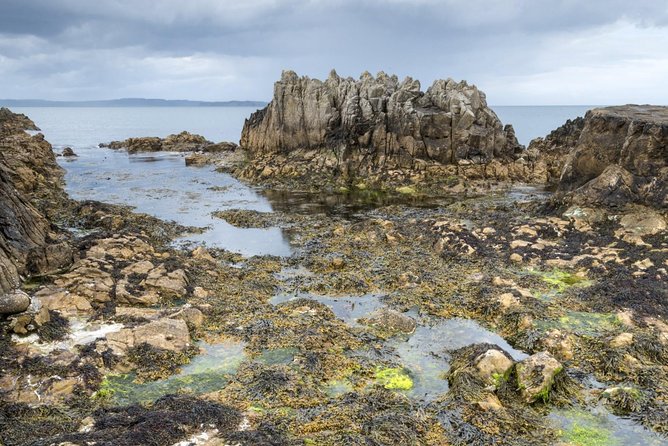 Game of Thrones and Giant's Causeway Full-Day Tour from Belfast - Carnlough Harbour and the Arya Stark connection
