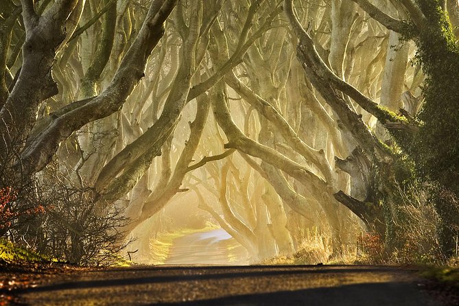 Game of Thrones - Private Audi A6 tour with Richard the Wildling - The Giant’s Causeway adds a second major attraction