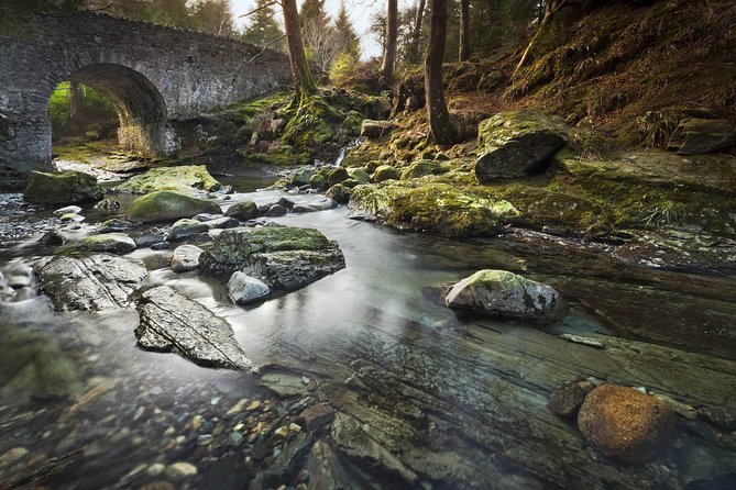 Game of Thrones - Tollymore Forest Trek - What the guide adds to the walk