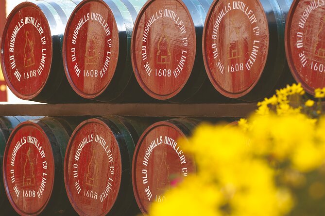 Giant's Causeway and Belfast City Murals Tour inc Game of Thrones Dark Hedges - Port pickup: the detail you must get right