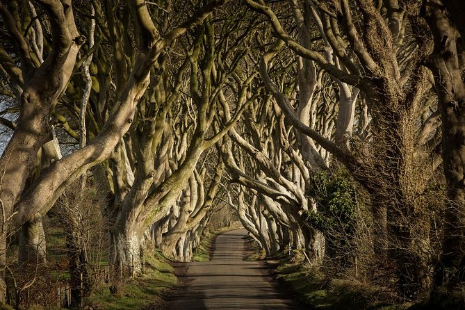 Giant's Causeway and Whisky Distillery tasting tour from Belfast - What the $74.67 price really covers