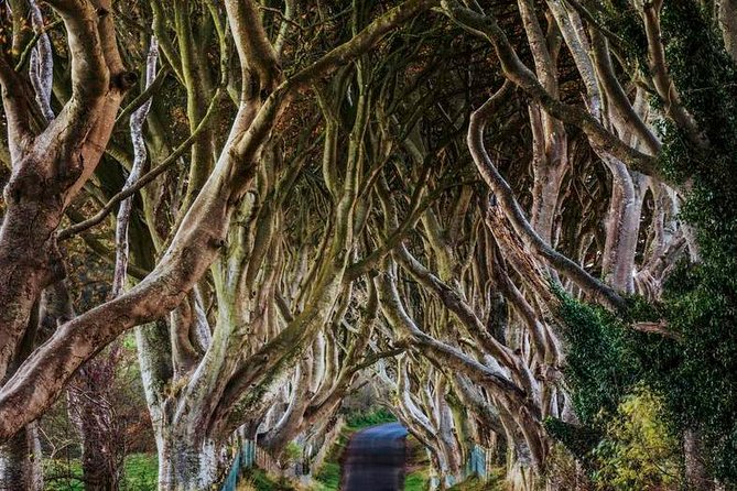 Giant's Causeway Full Day Tour from Belfast - Lunch and the limits of a seven-hour tour