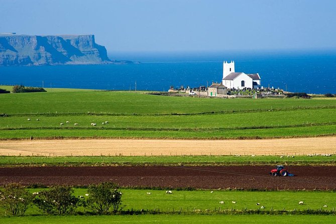 Giant's Causeway Full Day Tour from Belfast - Guides, drivers, and the human side of the trip