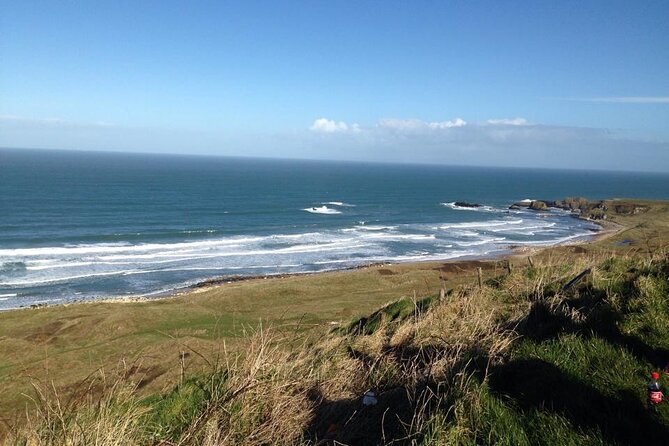 Giants Causeway & Antrim Coast Private Tour - Under the branches at the Dark Hedges