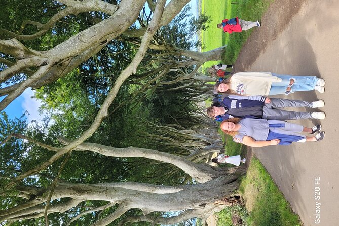 Giants causeway private tour 1 to 7 people - Dunluce Castle and a fast look at the ruins