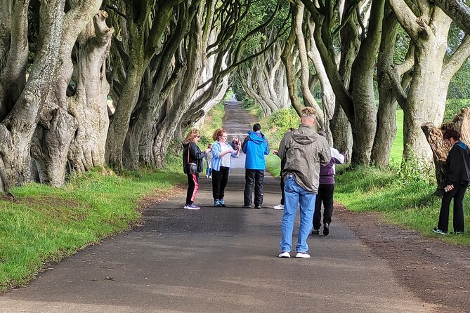 Giants causeway private tour 1 to 7 people - Carrick-a-Rede Rope Bridge: the optional thrill