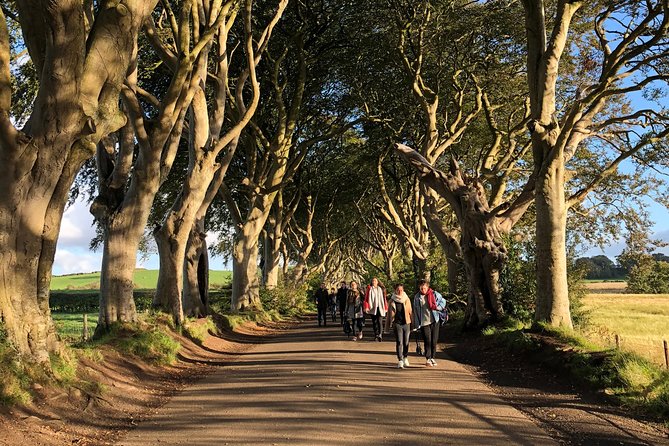 Giants Causeway, Rope Bridge, Carrickfergus Castle and Dark Hedges Tour - The Giant’s Causeway earns the longest stop