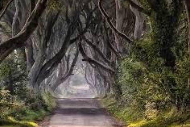 Giants Causeway Tour From Belfast including Game of thrones sites - Why this private Belfast day trip works