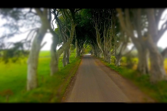 Guided Day Tour of Giant's Causeway from Belfast by Comfortable Coach - Bushmills Distillery: a short stop with optional whiskey