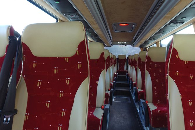 Guided Day Tour of Giant's Causeway from Belfast by Comfortable Coach - The Dark Hedges: famous, photogenic, and not for everyone