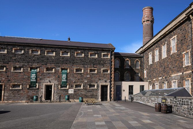 McConnell's Distillery Experience with Tasting - Four things to know before you book