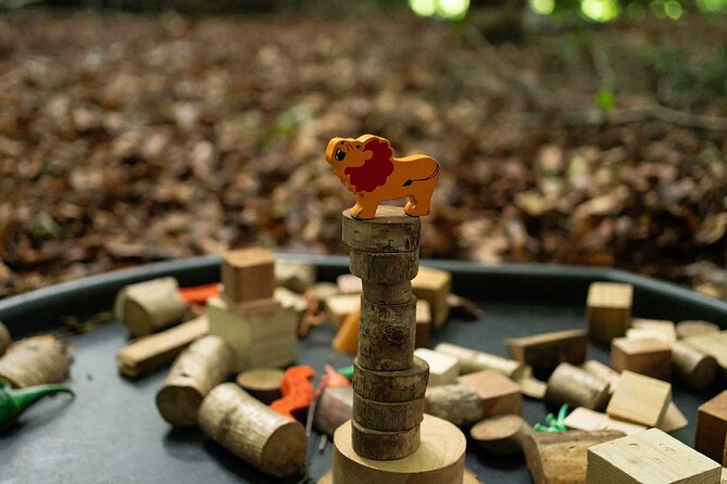Muddy Tots Go Wild Forest School Ballynahinch County Down - Campfire skills, stories, and toasted marshmallows