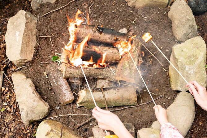 Muddy Tots Go Wild Forest School Ballynahinch County Down - Why the $6.87 price offers strong value