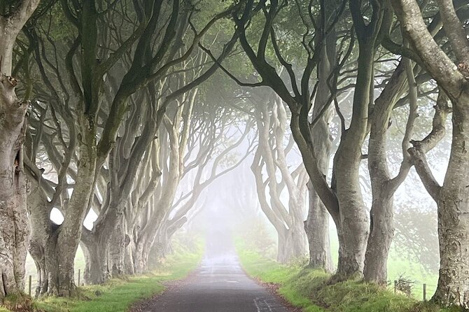 Private Coast Tour in Belfast - What the $825.22 group price buys you