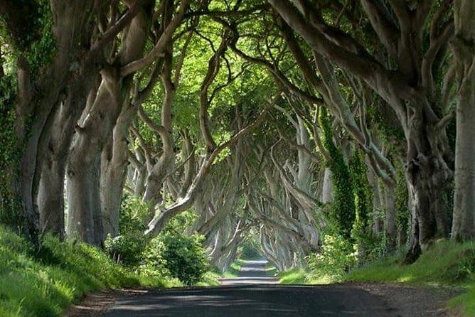 Private Game of Thrones including Giant's Causeway Causeway Coast Rope Bridge - Key points at a glance