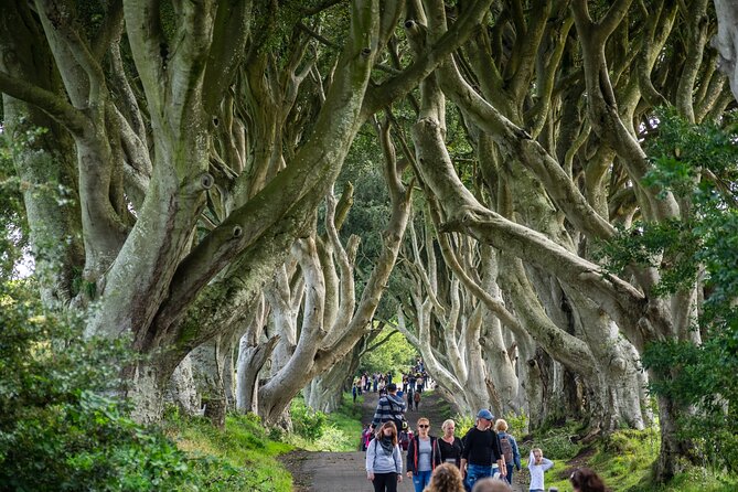 Private Giants Causeway Tour From Belfast - Why a private tour makes sense on this route