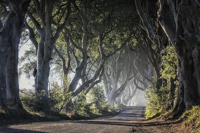 Private Tour - Causeway, Castles & Whiskey Tour - Game of Thrones - Torr Head brings the coast into focus