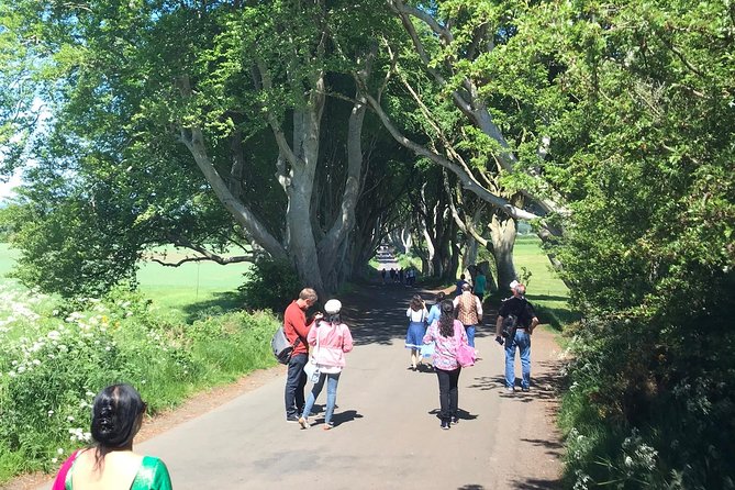Private Tour - Giants Causeway & 2 Stop Tour - Ballintoy Harbour: a quieter coastal pause