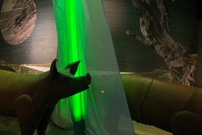 Saint Patrick Centre Exhibition experience - Café, walled garden, and Irish crafts
