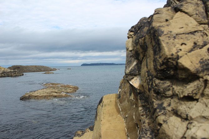 Small Group Giant's Causeway Day Tour from Belfast - Guides make the difference