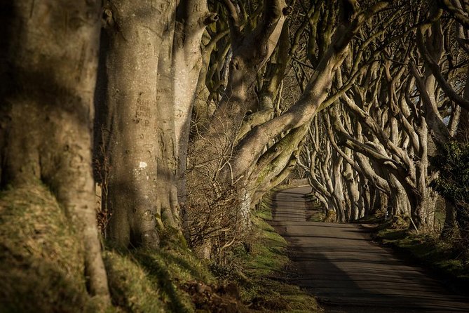 Titanic Experience and Giant's Causeway tour from Belfast - Is $90.19 good value?